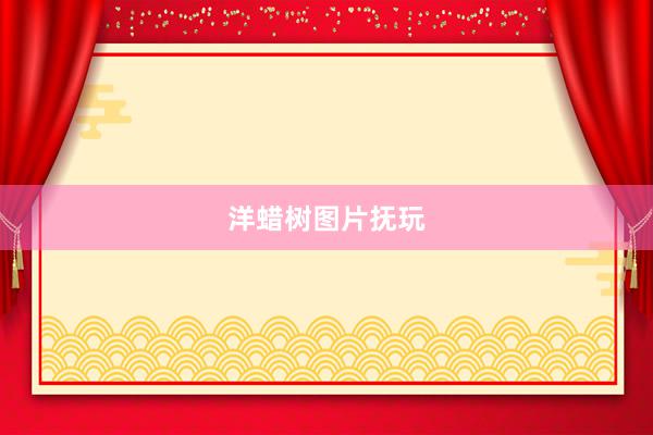 洋蜡树图片抚玩