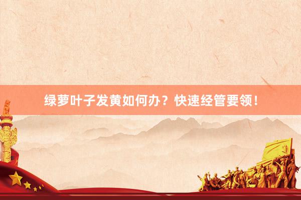 绿萝叶子发黄如何办？快速经管要领！