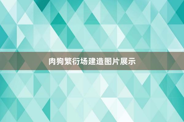 肉狗繁衍场建造图片展示