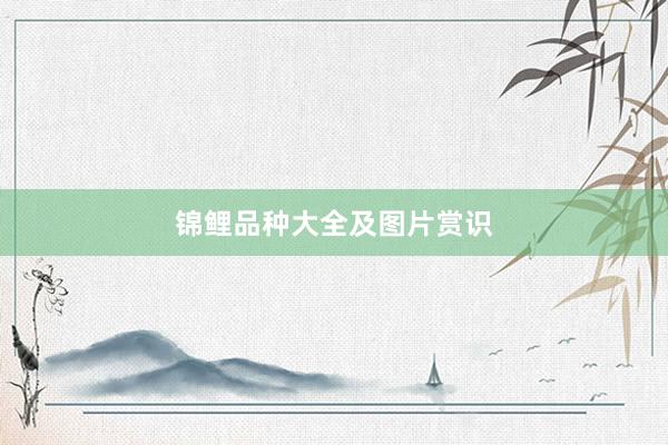 锦鲤品种大全及图片赏识