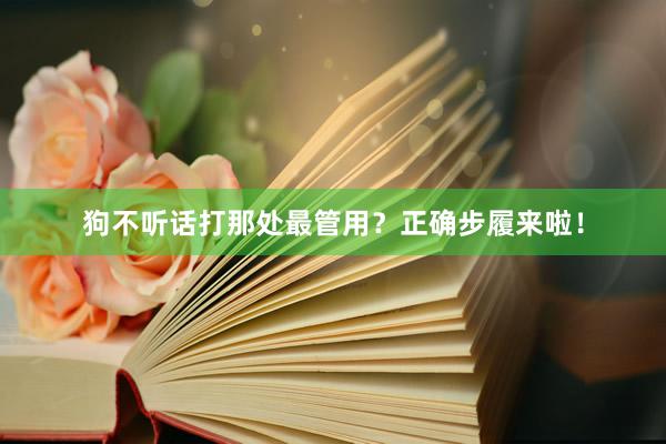 狗不听话打那处最管用？正确步履来啦！